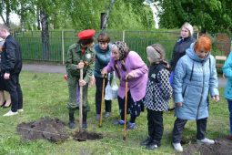 В Щигровском районе Курской области высадили Аллею памяти