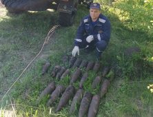 В Курской области нашли 22 артснаряда и гранату времён войны