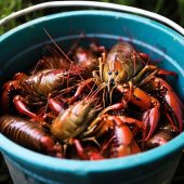 Курянина оштрафовали на четыре тысячи за ловлю раков