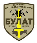 В Курской области создается спецбатальон для борьбы с БПЛА
