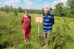 Курянин подарил супруге рощу на 70-летний юбилей