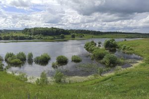 До океана Куру не дотянуться