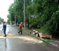 Более 20 аварийных ситуаций произошли в Курске во время непогоды