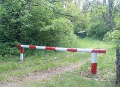 В Курской области продлены ограничения на пребывание граждан в лесах