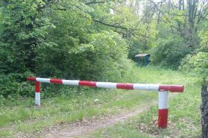 В Курской области за неделю ликвидировали четыре угрозы лесных пожаров