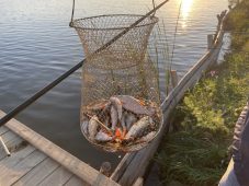 В Курской области впервые провели турнир по рыбной ловле для ветеранов СВО