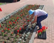 В Курске территории отдыха убирают 27 рабочих и 12 единиц техники