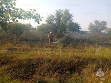 В Курской области стала чаще гореть сухая трава