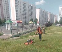 В Курске управляющие компании накажут за плохое качество работы во дворах