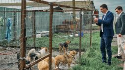 Курскому приюту для животных «Право жить» привезли помощь