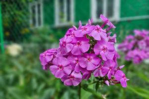 В последний день лета температура воздуха в Курской области достигнет +28 градусов