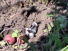 Во Льгове Курской области медпомощь понадобилась ещё двум раненым