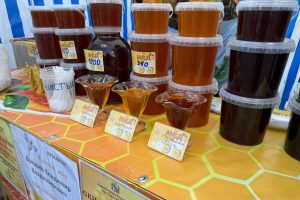 Собутыльник украл мёд