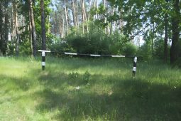 Под Курском незаконно вырубили лес на 69 тысяч рублей