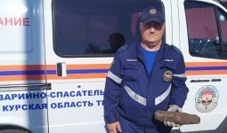 В Дмитриевском районе Курской области нашли два артснаряда