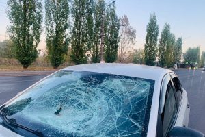 В Курской области вылетевший камень пробил лобовое стекло автомобиля