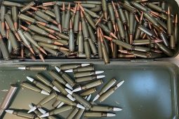 У курянина изъяли 99 боевых патронов