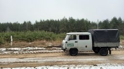 В Курской области усилят охрану елей и сосен в предновогодний период