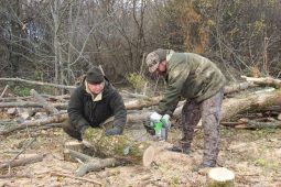 Куряне заготовили для военных более 100 кубометров дров