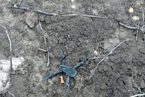 Хинштейн сообщил о гибели и ранениях мирных жителей при атаках дронов в приграничье