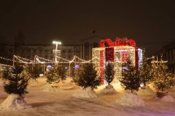 В Курске включили новогоднюю иллюминацию в «Красном лесу»