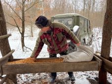 В Курске дикие животные за год съели 60,8 тонн зерна и 5,5 тонн соли