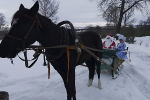 На Новый год – к Фету