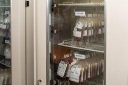 Каждый день в Курске специалисты переливают около 36 литров крови