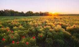 Александр Хинштейн поздравил курский заповедник