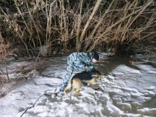В Курской области полицейская собака помогла спасти мужчину