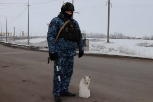 Буч помогает полицейским