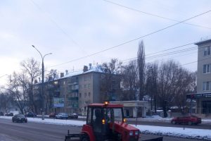 В Курской области 15 декабря ожидается снег