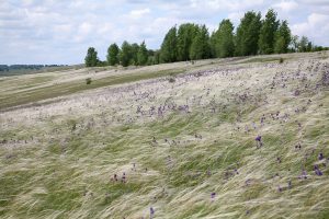 Заповедник отметил юбилей