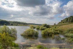 В Курске идет подготовка к старту общероссийской акции «Вода России»