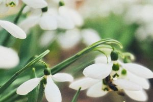 В начале мая в Курске потеплеет