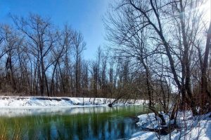 6 марта температура воздуха в Курской области поднимется до 12°С