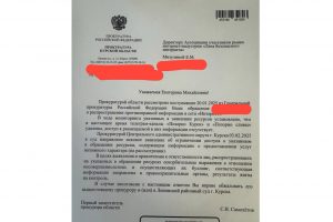 По инициативе Мизулиной Роскомнадзор заблокировал 2 курских телеграм-канала