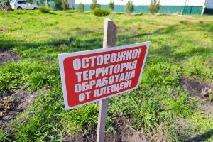 Полугору обработали от клещей