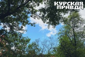 Теплое лето вернется в Курскую область к четвергу