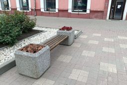 Неизвестные украли цветы с центральной улицы Курска