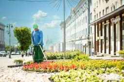 В Курске меняют цветочное оформление на улице Ленина с весеннего на летнее