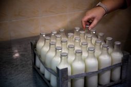 Новорождённым детям курян из приграничья будут выдавать продукты молочной кухни