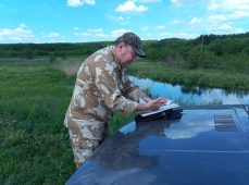 Минприроды Курской области разместило в лесах 35 кг соли