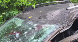 СК устанавливает боевиков ВСУ, виновных в убийстве молодой курянки