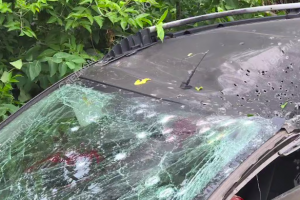 СК устанавливает боевиков ВСУ, виновных в убийстве молодой курянки