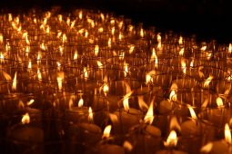 Ко Дню памяти и скорби «Единая Россия» проведёт памятные акции по всей стране и за рубежом