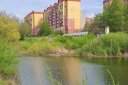 В Курске благоустроят сквер и озеро на Студенческой за 41,5 млн рублей