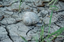 Климат Курской области серьезно изменился за последние 30 лет