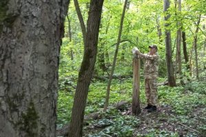 Ольха пошла на дрова