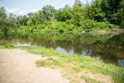 В Сеймском округе Курска почистят зону отдыха у «Элеватормельмаша»